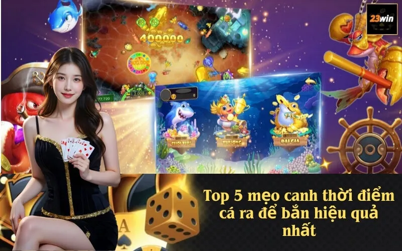 Top 5 mẹo canh thời điểm cá ra để bắn hiệu quả nhất
