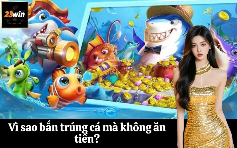 Vì sao bắn trúng cá mà không ăn tiền